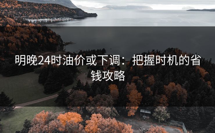 明晚24时油价或下调:把握时机的省钱攻略 明晚24时油价或下调:把握时机的省钱攻略