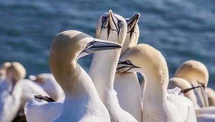 黑料盘点：猛料5条亲测有效秘诀，圈内人上榜理由罕见令人无法置信