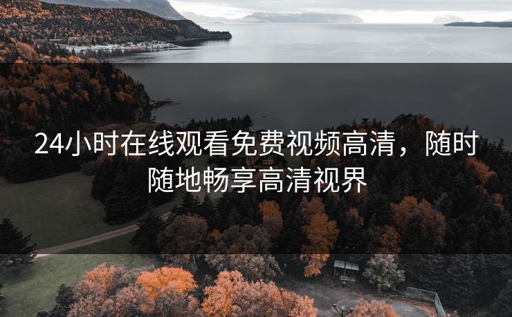 24小时在线观看免费视频高清，随时随地畅享高清视界